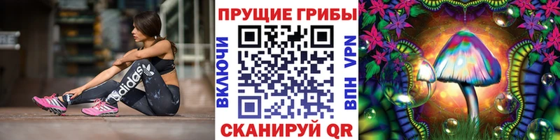 Галлюциногенные грибы Psilocybine cubensis  хочу наркоту  Тутаев 