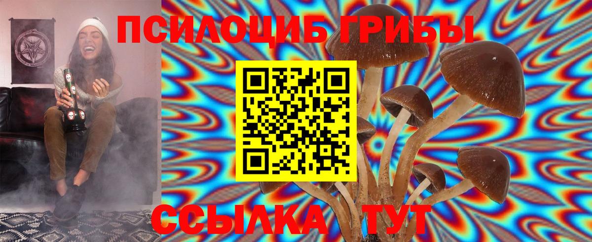 Тутаев  Псилоцибиновые грибы GOLDEN TEACHER  купить   Вход с VPN 